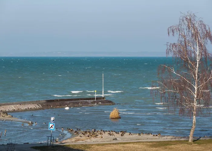 Coral Luxury * Siófok